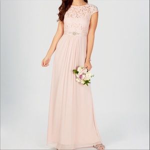 Adrianna Papell Lace Illusion Gown Blush